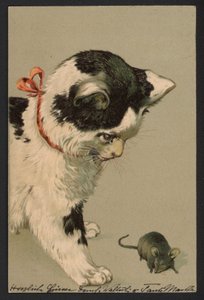 Chat jouant avec une souris (lithographie couleur) - German School