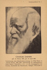 Charles Darwin (1809-1882), naturaliste anglais (litho) - German School