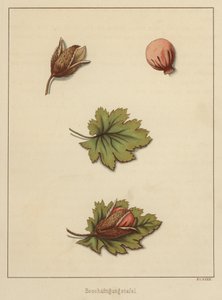 Artisanat - German School