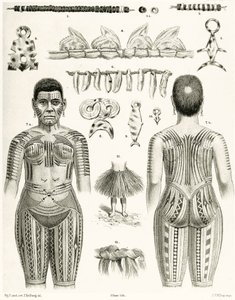 Diagramme montrant des bijoux, ornements et motifs de tatouage polynésiens, 1888 - German School