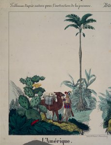 Affiche éducative représentant la flore et la faune d