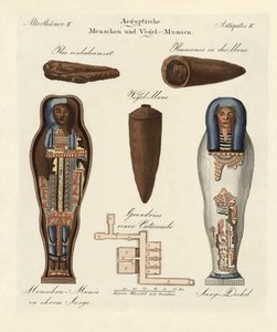 Momies égyptiennes