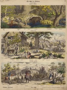 Europe : forêt en Lituanie ; village allemand ; route de campagne italienne - German School