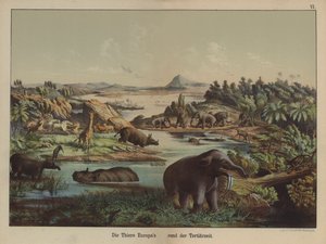 Animaux européens de la période tertiaire