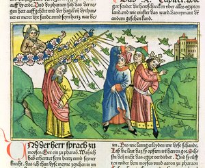 Exode 10:1-20 Les Sept Plaies d