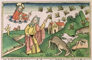 Exode 8:20-32 Les sept plaies d