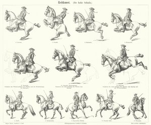 Équitation (gravure) - German School