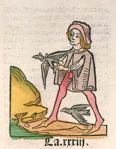 Hortus Sanitatis [Le Jardin de la Santé] par Jacob Meydenbach publié en 1491 (gravure sur bois) - German School