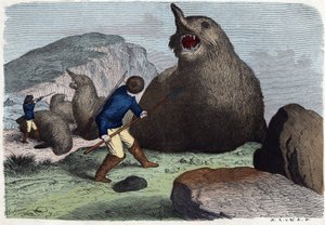 Chasseurs combattant des éléphants de mer. Dans « Wenn Jemand eine Reise thut, so kann er was erzählen », conte allemand de Franz Wiedemann - German School