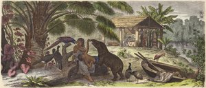 Maison indienne sur le fleuve Orénoque (gravure en couleur)