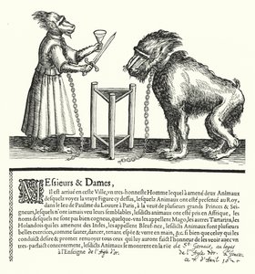 Invitation à une exposition de singes et de macaques - German School