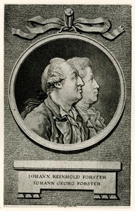 Johann Georg Forster - German School