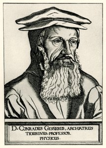 Conrad Gessner - German School