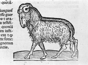Le Verseau - dans le Traité de Johannes Angeli De Magnisconnectionibue annorum revolutionibus ac eorum perfectionibus. Augsbourg, Erhard Ratdolt