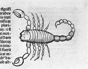 Le Scorpion - dans le Traité de Johannes Angeli De Magnisconnectionibue annorum revolutionibus ac eorum perfectionibus. Augsbourg, Erhard Ratdolt