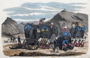 Chargement des éléphants pour le voyage de M. Bock à Dresde. Dans « Wenn Jemand eine Reise thut, so kann er was erzählen », conte allemand de Franz Wiedemann - German School