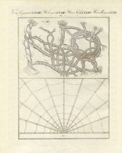 Objets microscopiques