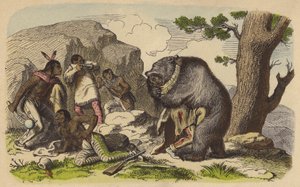 Amérindiens chassant des ours (gravure en couleur) - German School