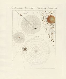Histoire naturelle de l