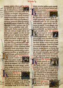 Page de De Natura Rerum sur les oiseaux, par Albertus Magnus - German School