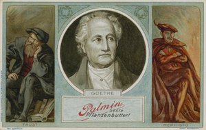 Carte de commerce Palmin avec une image de Goethe - German School