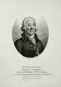 Peter Simon Pallas. (1741 – 1811) - German School