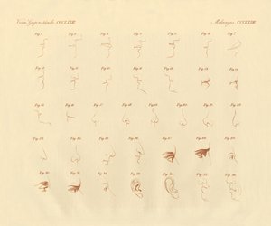 Expression physionomique de l