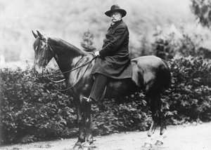 Prince Bismarck à Friedrichsruh, 1890 - German School