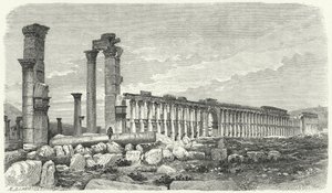 Ruines de la ville de Palmyre, Syrie - German School