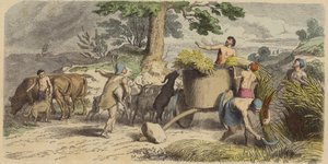 Vie rurale en Grèce antique (gravure en couleur) - German School