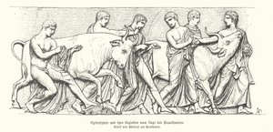Animaux sacrificiels dans la procession grecque antique des Panathénées (gravure) - German School