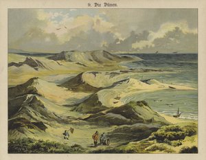 Dunes de sable