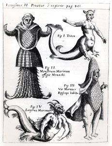 Monstres marins, illustration de Physica Curiosa par Gaspar Schott S.J. (1608-66), publiée à Wurtzbourg en 1662 - German School