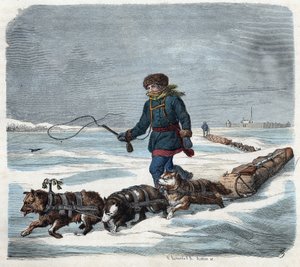 Chien de traîneau dans la neige d