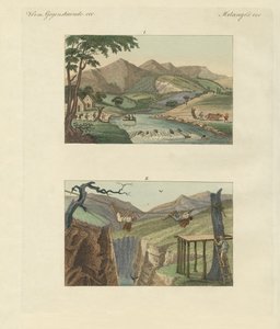 Ponts de corde sud-américains - German School