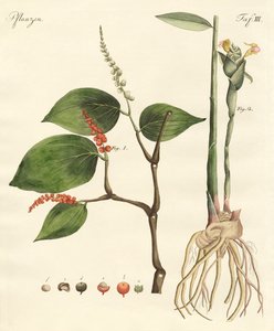 Épices