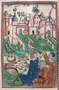Les Oiseaux et Créatures de l