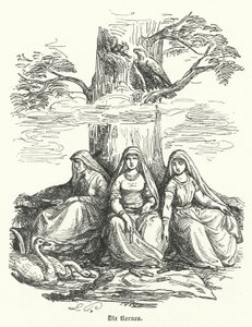Les Nornes, êtres féminins de la mythologie nordique (gravure) - German School