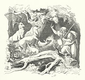 La Sorcière et les Enfants du Roi - German School