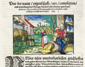 Les usages thérapeutiques et médicinaux du miel, illustration d