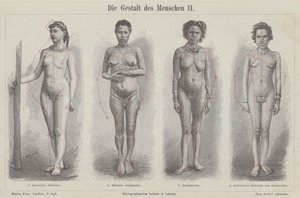 La figure humaine (gravure)