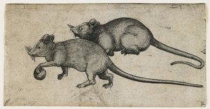 Deux souris, 1450-80 - German School