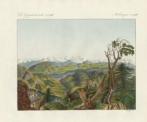 Deux vues de l
