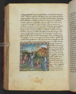 Ulrich von Pottenstein, Das Buch der natürlichen Weisheit, Egerton MS 1121 f.114v, c.1430 - German School