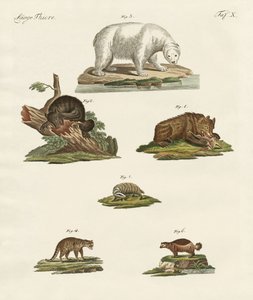 Divers types d