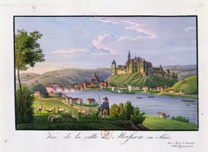 Vue de la ville de Meissen, lieu de naissance de Christian Samuel Hannemann (1755-1843) - German School
