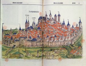 Vue de la ville de Nuremberg, de la Chronique de Nuremberg par Hartmann Schedel (1440-1514) 1493 - German School