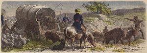 Convoi de chariots en Afrique du Sud - German School