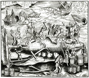 Pêche à la baleine, d