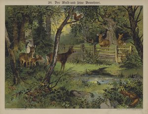 Faune - German School